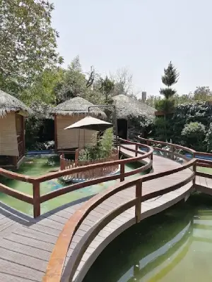 قو سفید مهرشهر