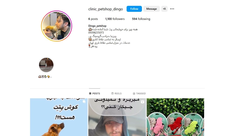دینگو از بهترین کلینیک های دامپزشکی در تهران