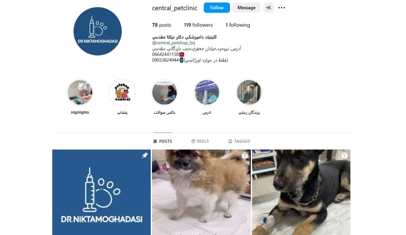 پت شاپ سنترال