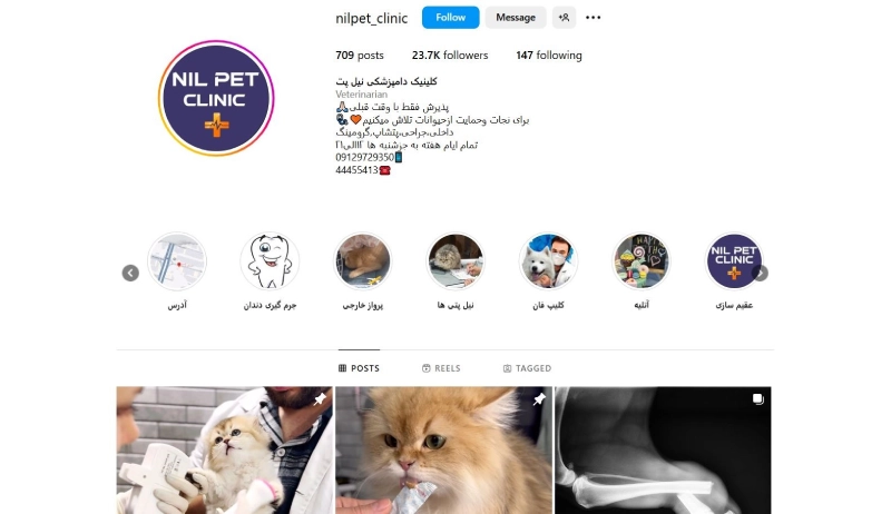 نیلپت از بهترین کلینیک های دامپزشکی در تهران