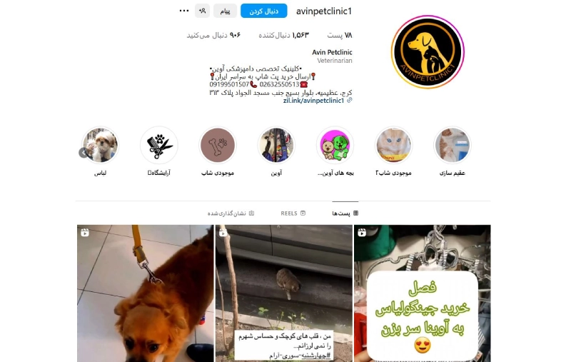 آوین بهترین کلینیک دامپزشکی کرج