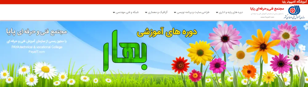 پایا بهترین آموزشگاه طراحی سایت در تهران