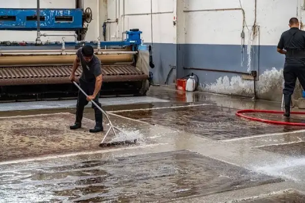 خدمات شستشوی فرش آپادنا