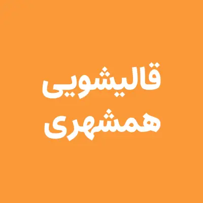 لوگو شرکت قالیشویی همشهری