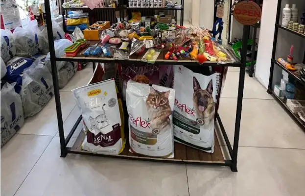 کلینیک دامپزشکی آوانو در تهران