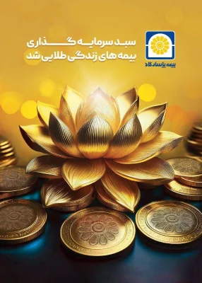 بیمه مسافرتی بیمه پاسارگاد
