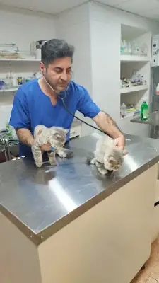 دامپزشکی ایرانا