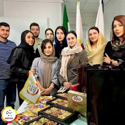 شرکت خدمات آنلاین برتینا
