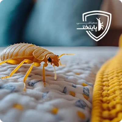 شرکت سمپاشی پایتخت
