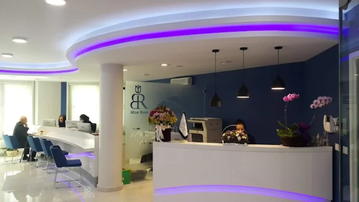 شرکت مسافرتی رز آبی