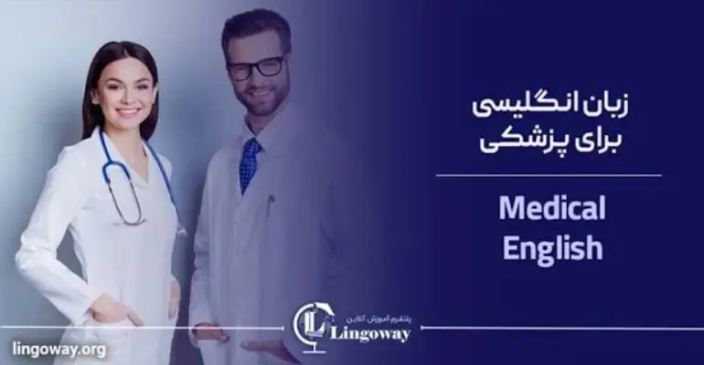 آموزشگاه زبان تخصصی لینگووی
