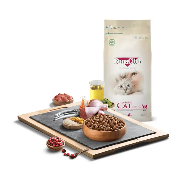 غذا خشک خارجی گربه Bonacibo